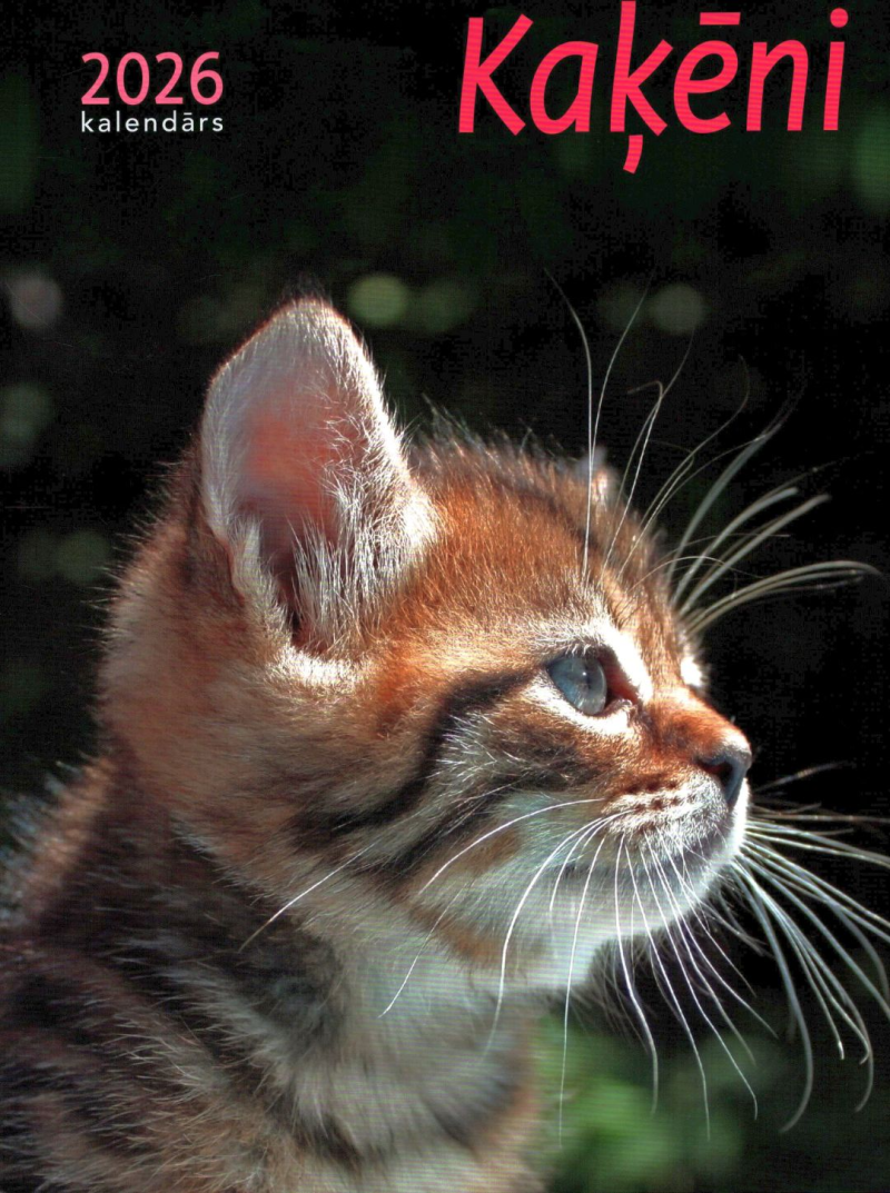 Kal. A4 Kaķēni1{IMAGE}