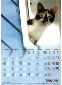 Kal. A4 Kaķēni2{IMAGE}