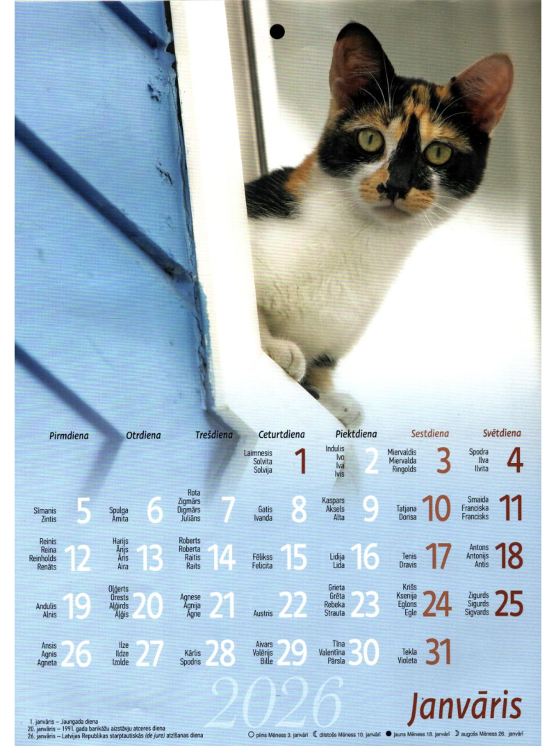 Kal. A4 Kaķēni1{IMAGE}