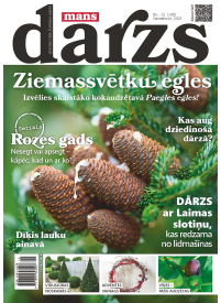 Mans Dārzs1{IMAGE}