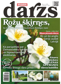 Mans Dārzs1{IMAGE}
