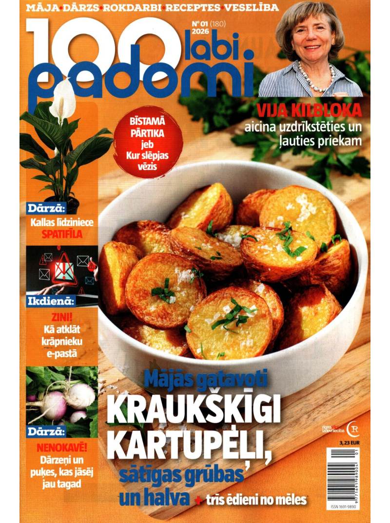 100 Labi padomi1{IMAGE}