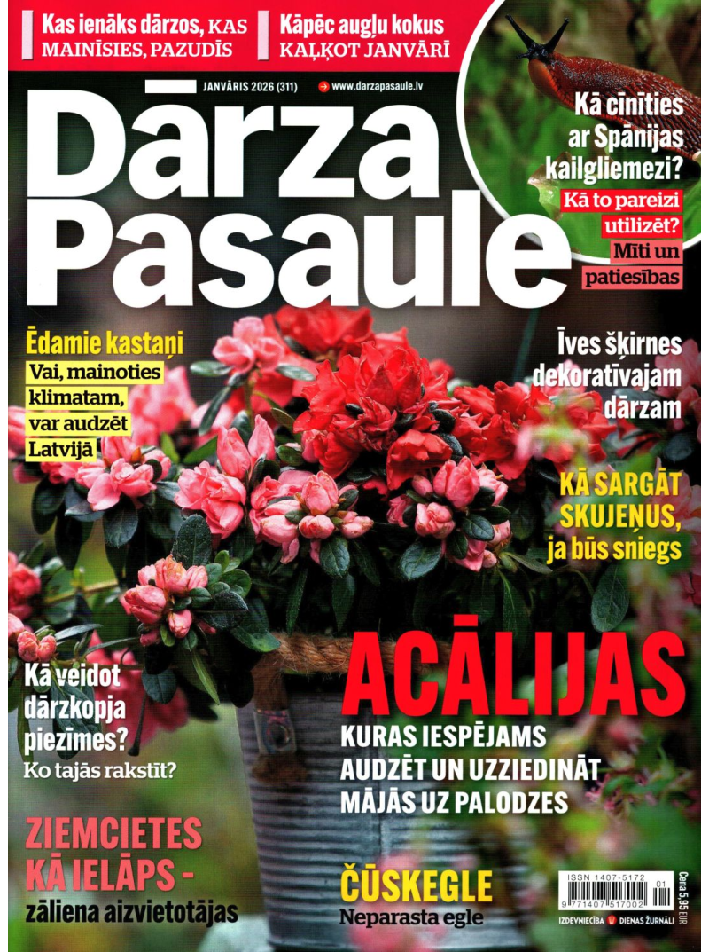 Dārza Pasaule1{IMAGE}