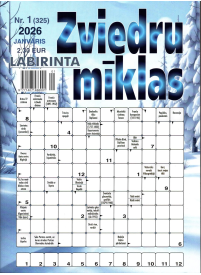 Labirinta Zviedru Mīklas1{IMAGE}