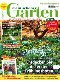 Mein Schōner Garten1{IMAGE}