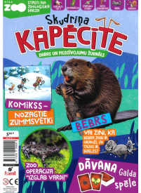 Skudriņa Kāpēcīte1{IMAGE}