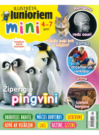 Ilustrētā Junioriem Mini1{IMAGE}