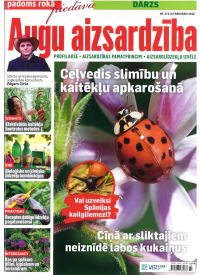 Padoms Rokā 41{IMAGE}