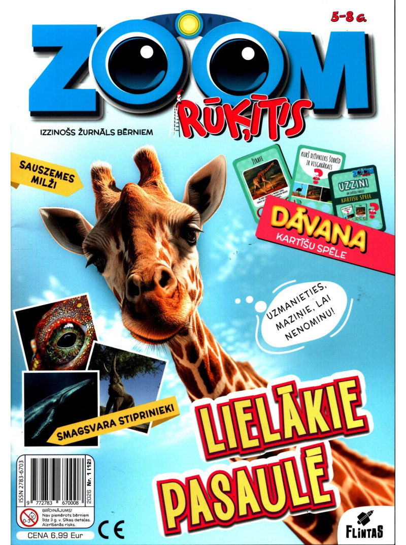 ZOOM Rūķītis1{IMAGE}