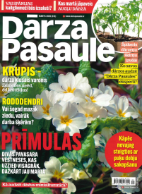 Dārza Pasaule1{IMAGE}