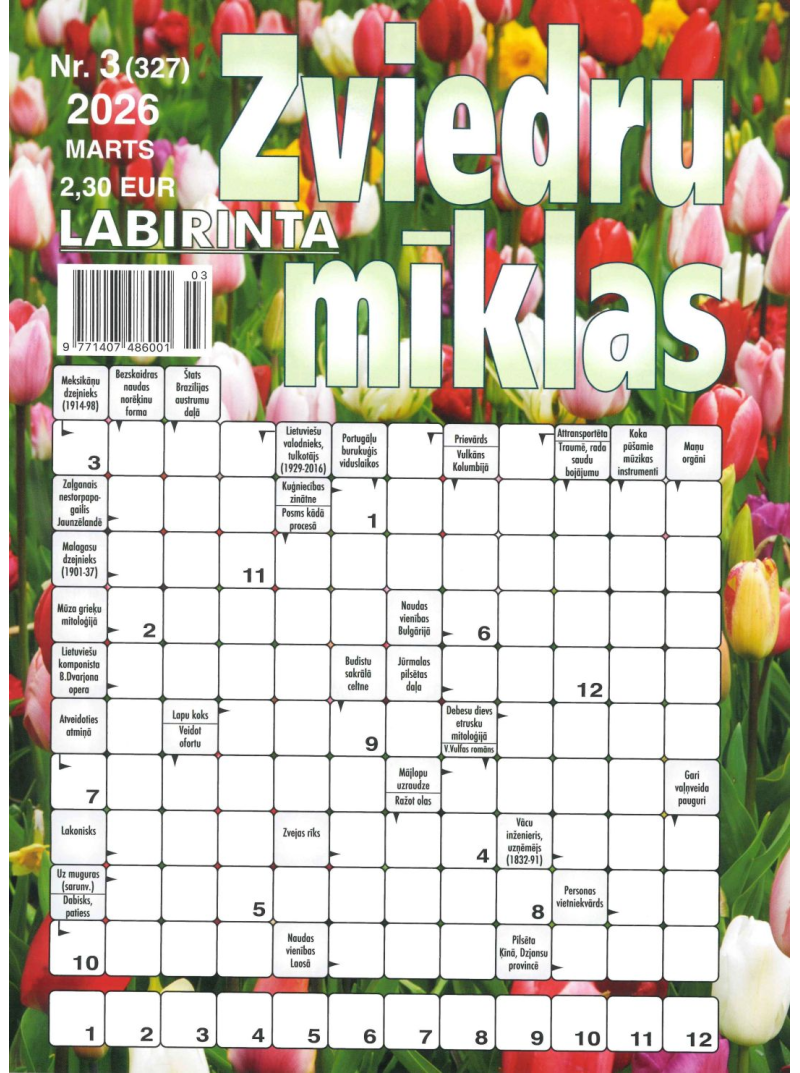 Labirinta Zviedru Mīklas1{IMAGE}