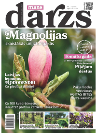 Mans Dārzs1{IMAGE}