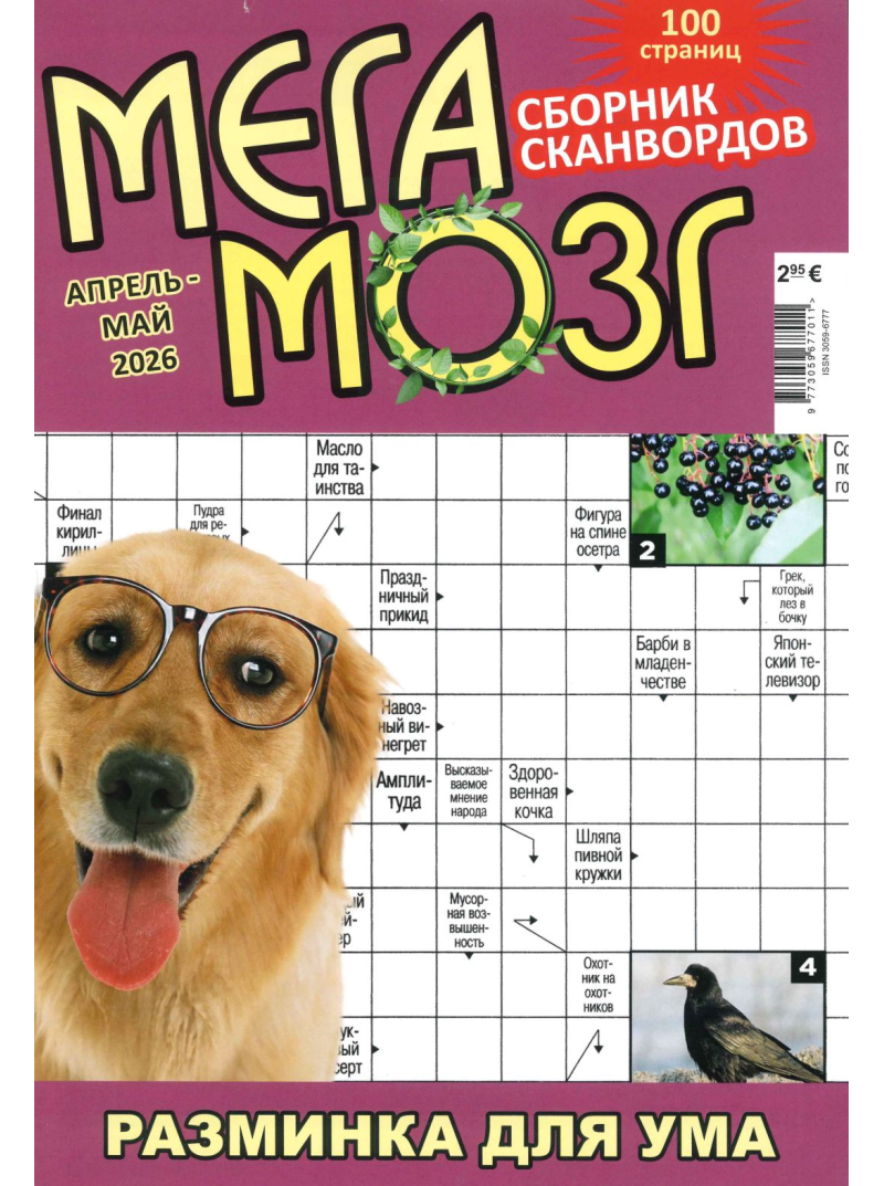 Mega Mozg1{IMAGE}