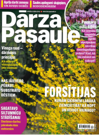 Dārza Pasaule1{IMAGE}