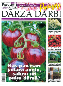 Ievas Padomu av. Spec.1{IMAGE}