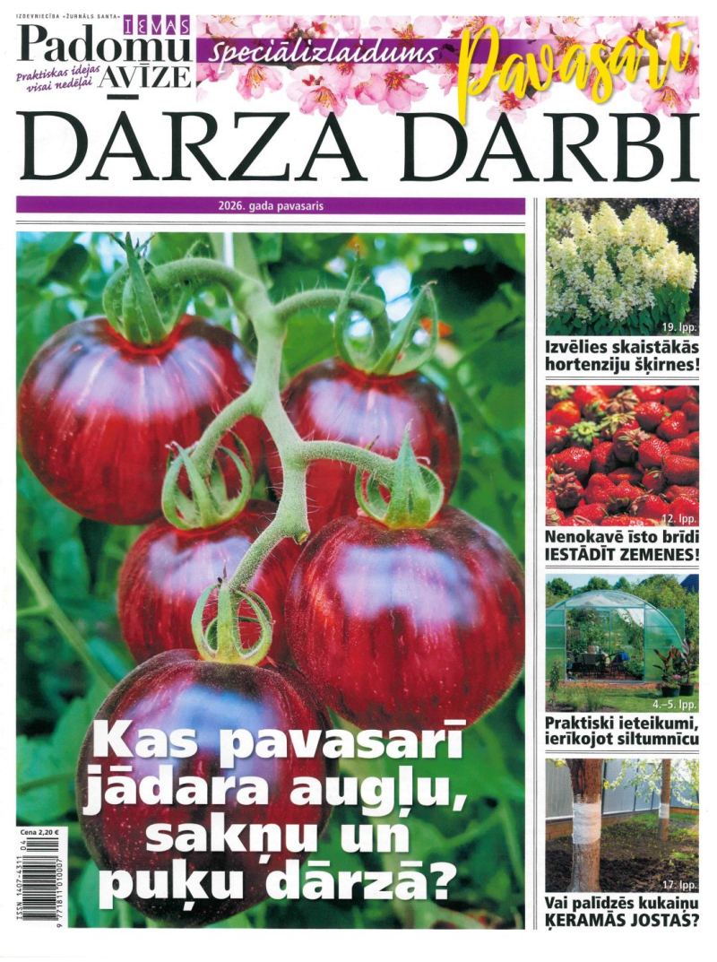 Ievas Padomu av. Spec.1{IMAGE}