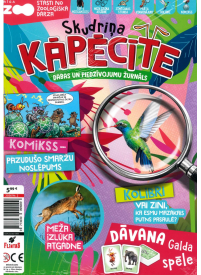 Skudriņa Kāpēcīte1{IMAGE}