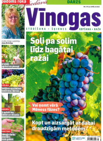 Padoms Rokā 31{IMAGE}