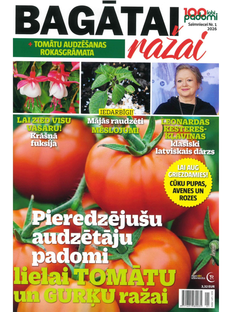 100 Labi pad.Saimniecei1{IMAGE}