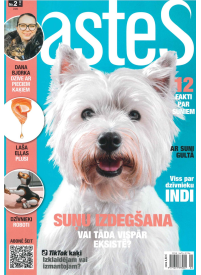 Astes1{IMAGE}