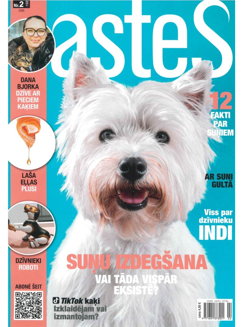 Astes1{IMAGE}