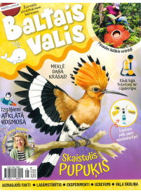 Baltais Valis1{IMAGE}