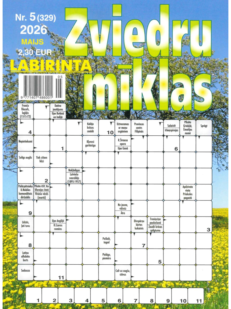 Labirinta Zviedru Mīklas1{IMAGE}