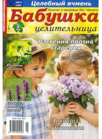 Babuška Ceļiteļņica1{IMAGE}