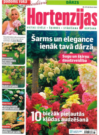 Padoms Rokā 41{IMAGE}
