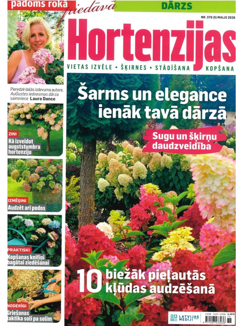 Padoms Rokā 41{IMAGE}