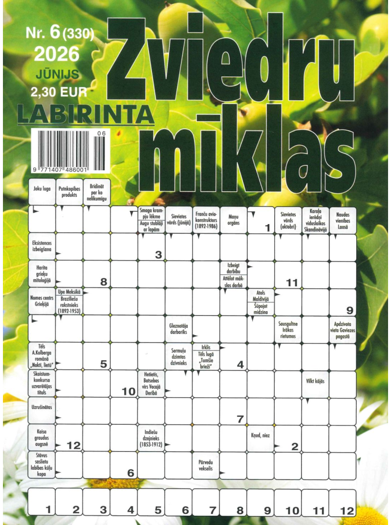 Labirinta Zviedru Mīklas1{IMAGE}