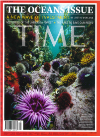 Time1{IMAGE}