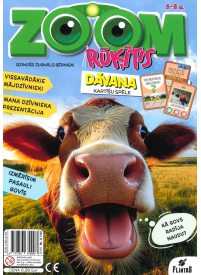 ZOOM Rūķītis1{IMAGE}