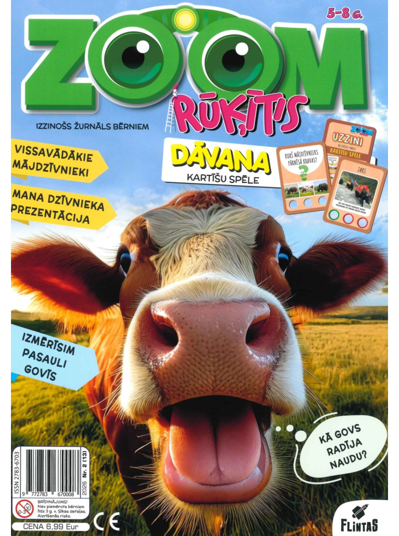 ZOOM Rūķītis1{IMAGE}