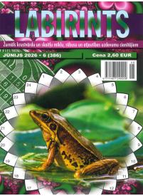 Labirints1{IMAGE}