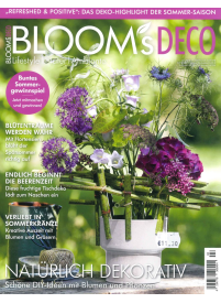 Blooms Deco1{IMAGE}