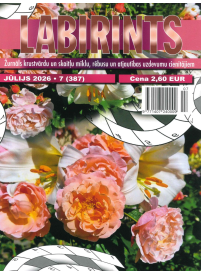Labirints1{IMAGE}