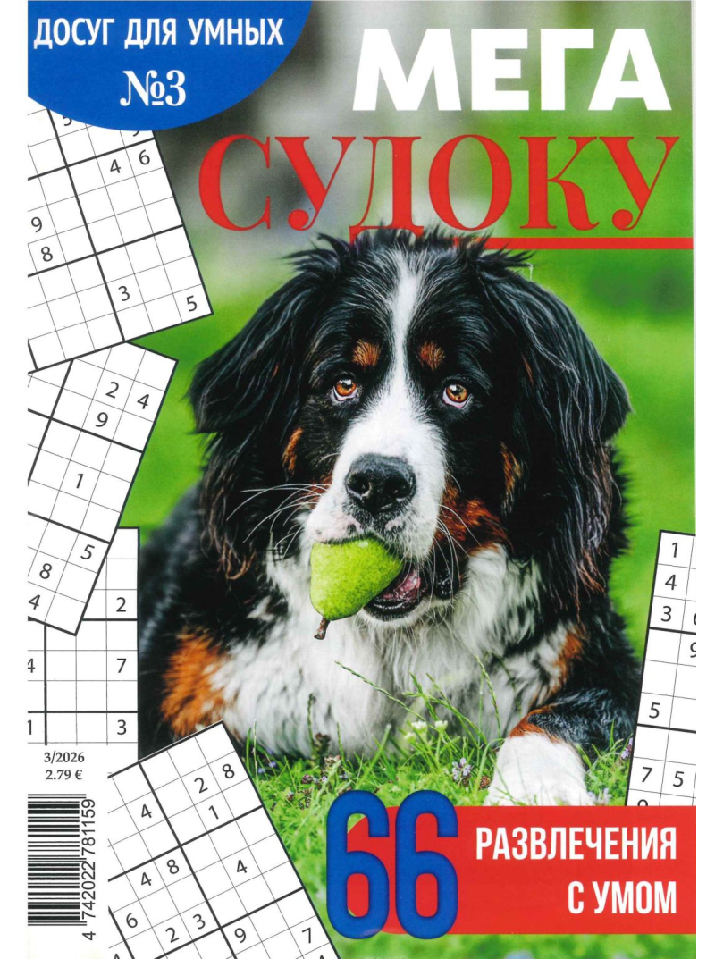 Mega Sudoku1{IMAGE}