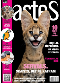 Astes1{IMAGE}