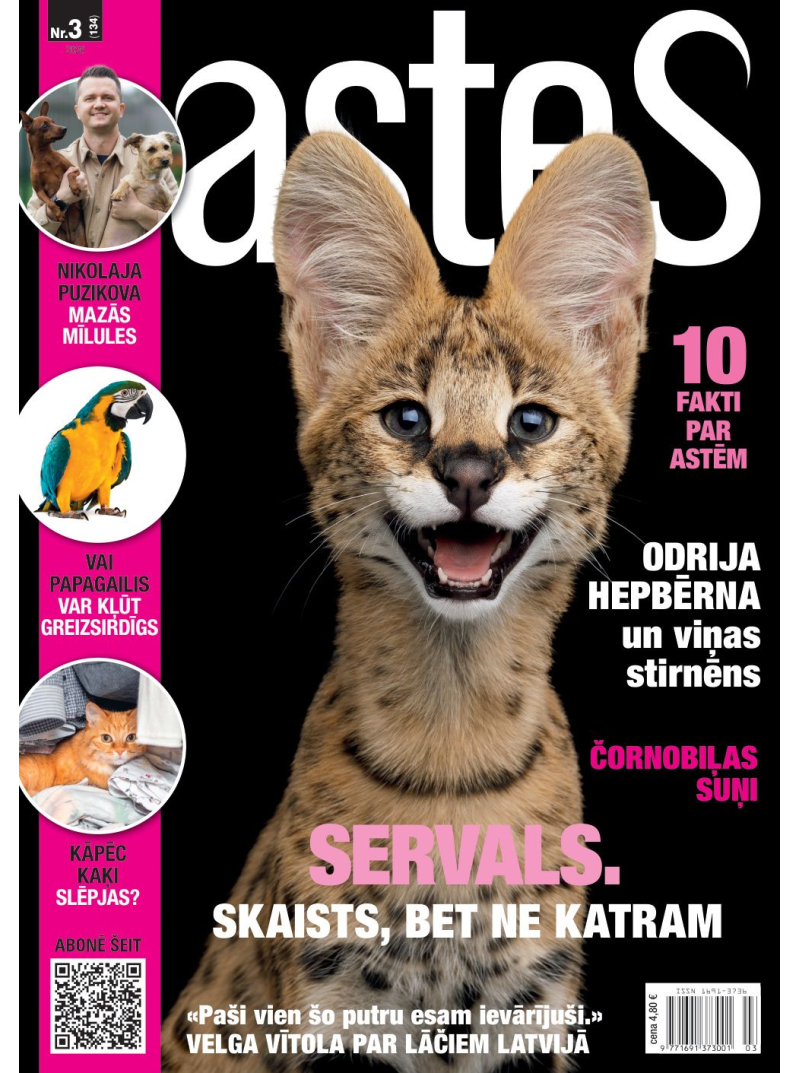 Astes1{IMAGE}