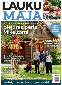 Lauku Māja1{IMAGE}