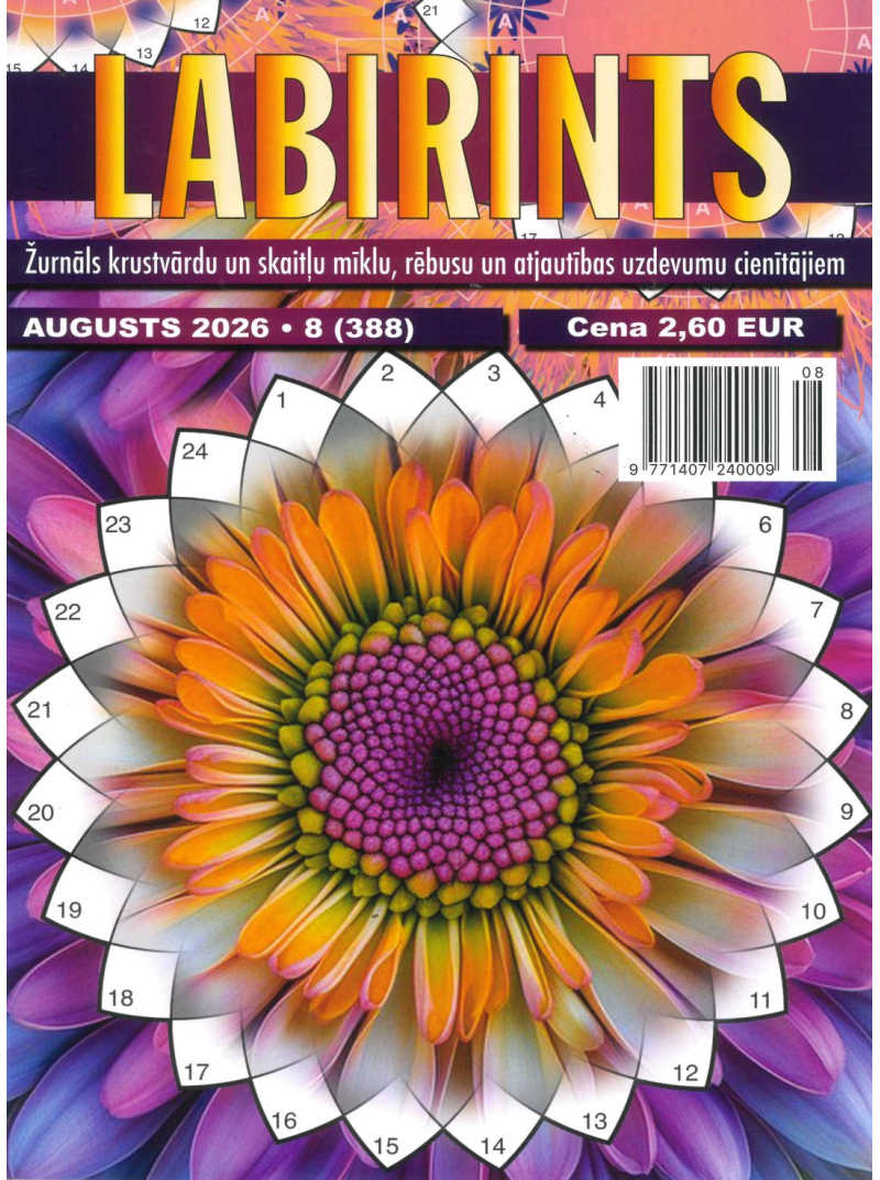 Labirints1{IMAGE}