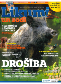 Medības pielikums1{IMAGE}