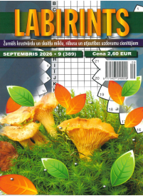Labirints1{IMAGE}