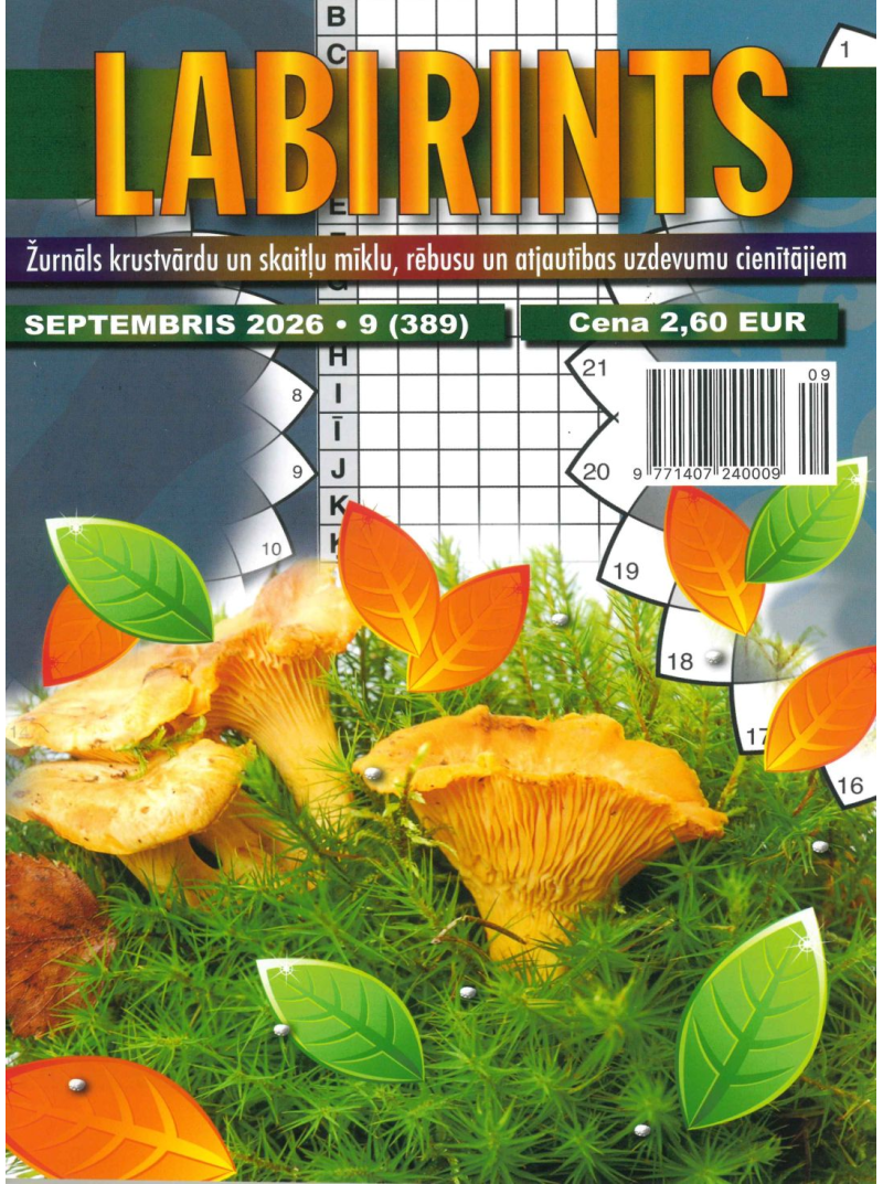 Labirints1{IMAGE}