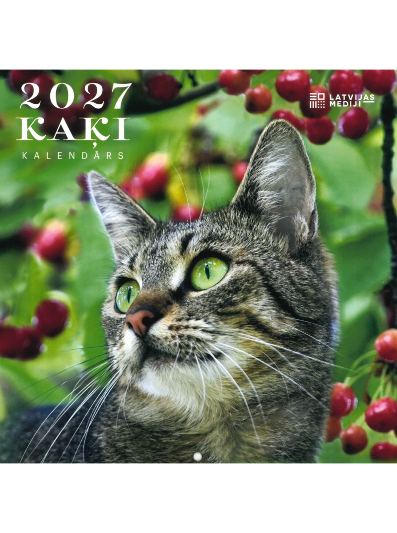 Kal. A3 Kaķi LM1{IMAGE}