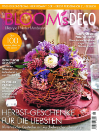 Blooms Deco1{IMAGE}