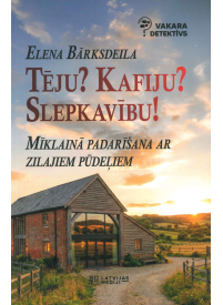 Rom.VD Mīklainā padarīšana ar zilajiem pūdeļiem1{IMAGE}