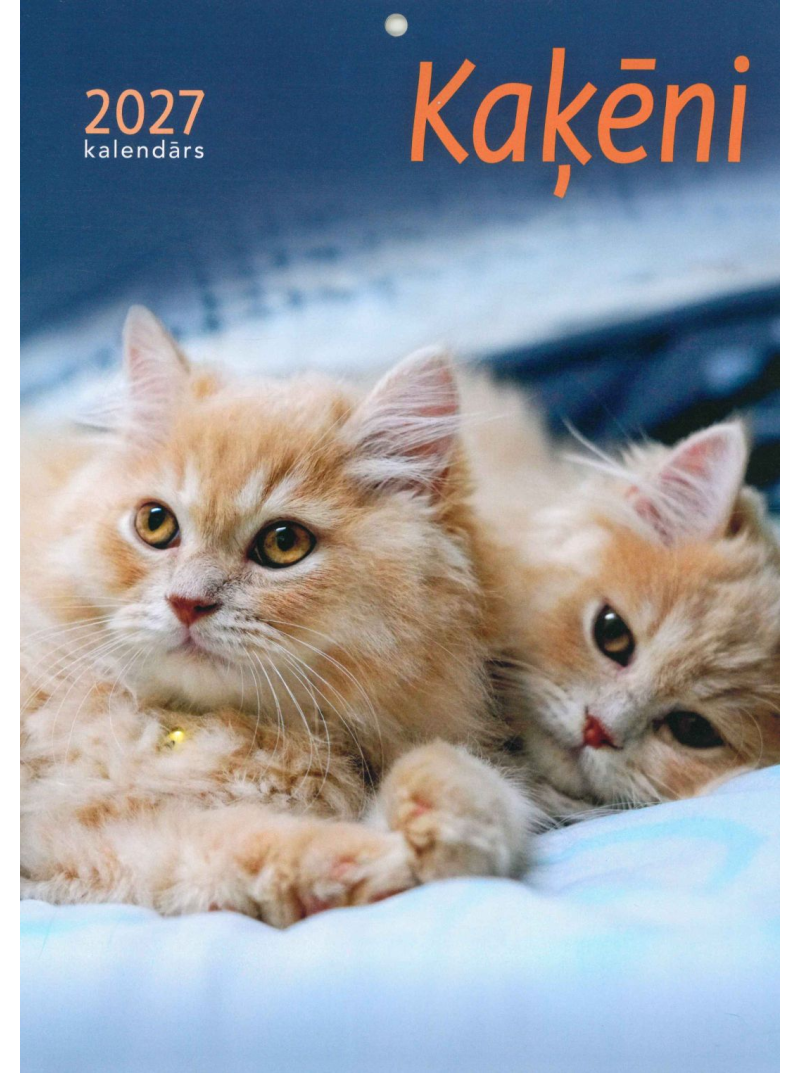 Kal. A4 Kaķēni1{IMAGE}