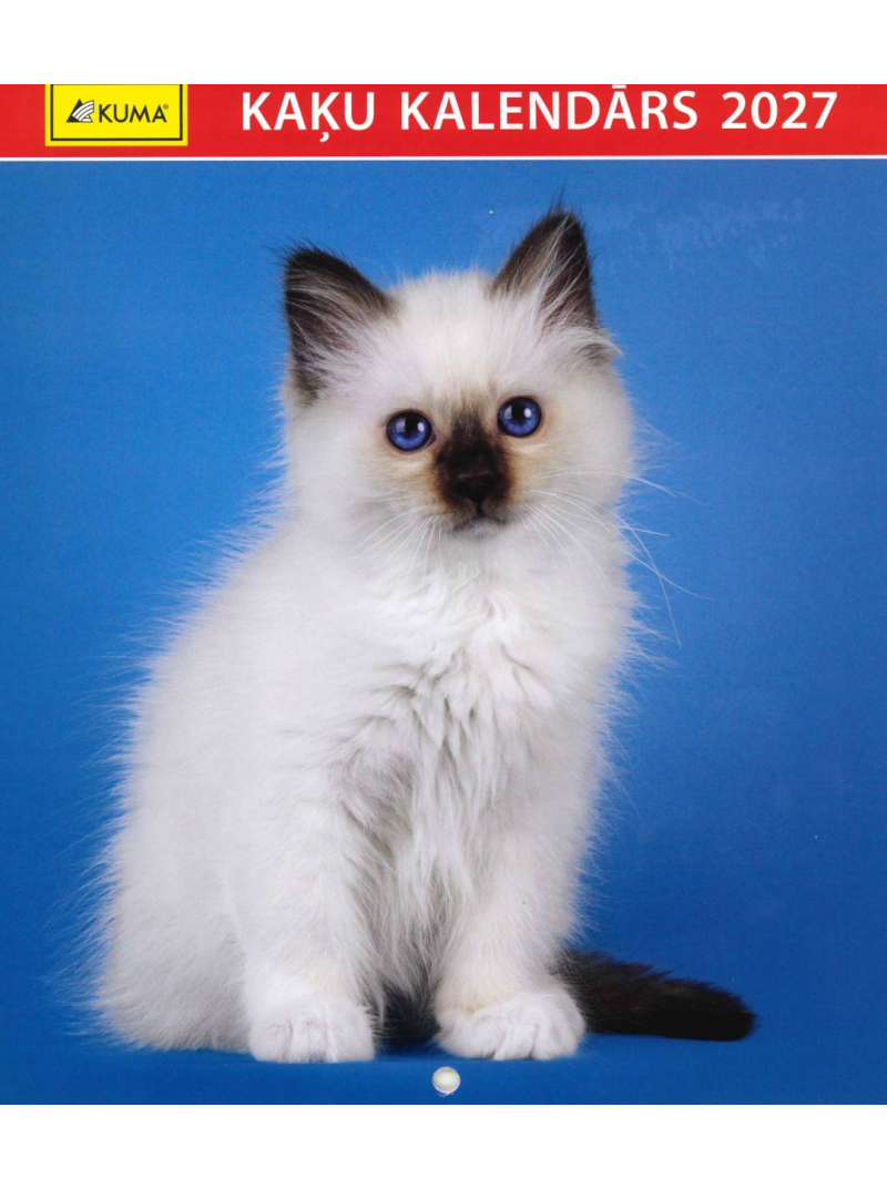 Kal. B5 Kaķi Kuma1{IMAGE}